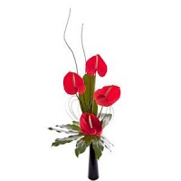 The Flower Vase 288832 Image 1